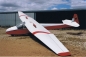 Preview: Schneider ES52b Longwing Kookaburra 1/4, 3730 mm