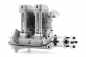 Preview: NGH GF60i2 Benzin-Viertaktmotor