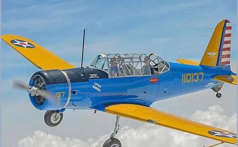 Vultee BT-13 Valiant/SNV 1/5 Jerry Bates 2540 mm - Bauplan