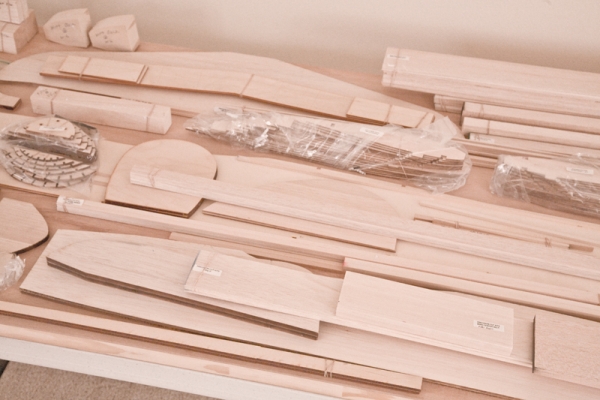 Artic Tern  Jerry Bates 2720 mm 1/4 - Holz-Bausatz, cnc lasercut