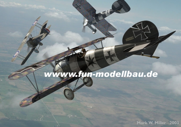Albatros D.III 1/4 2260 mm