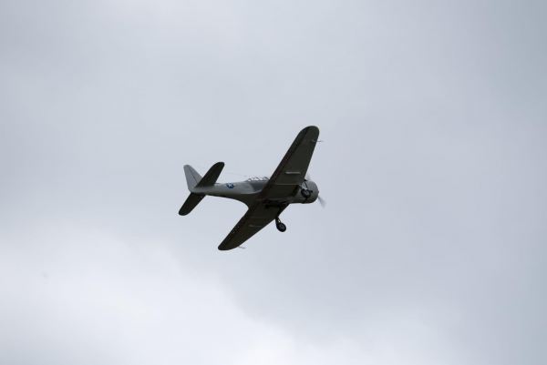 Douglas SBD 5 Dauntless