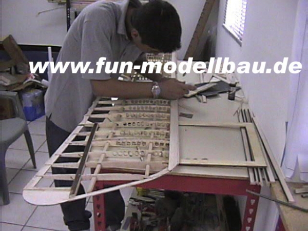 Albatros DVa 1/3 2810 mm