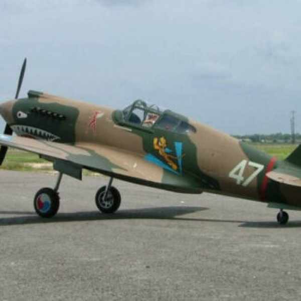 Curtiss P-40 Tomahawk 1/5.5 Jerry Bates 2082 mm - Holz-Bausatz, cnc lasercut